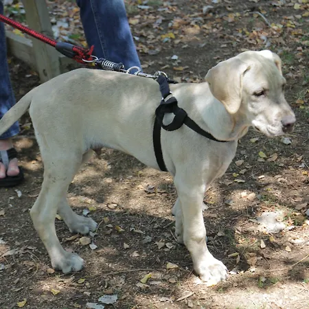 Mar De Tossa * Tossa de Mar