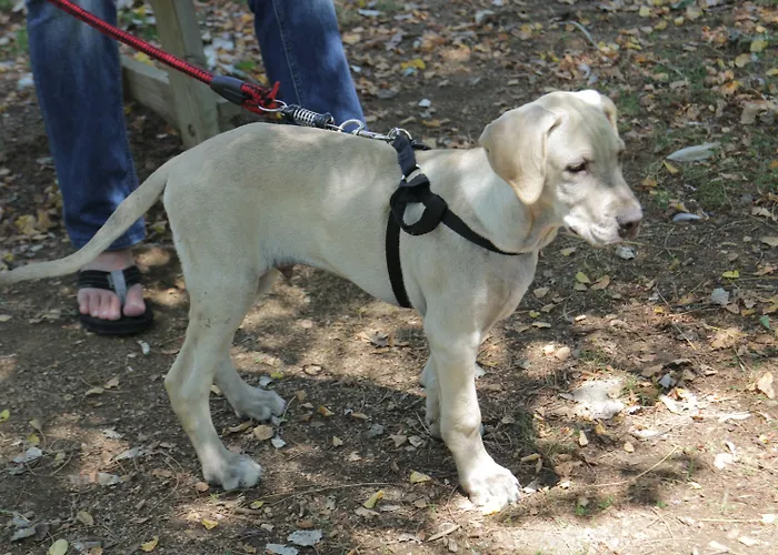 Mar De Tossa * Тоса-де-Мар